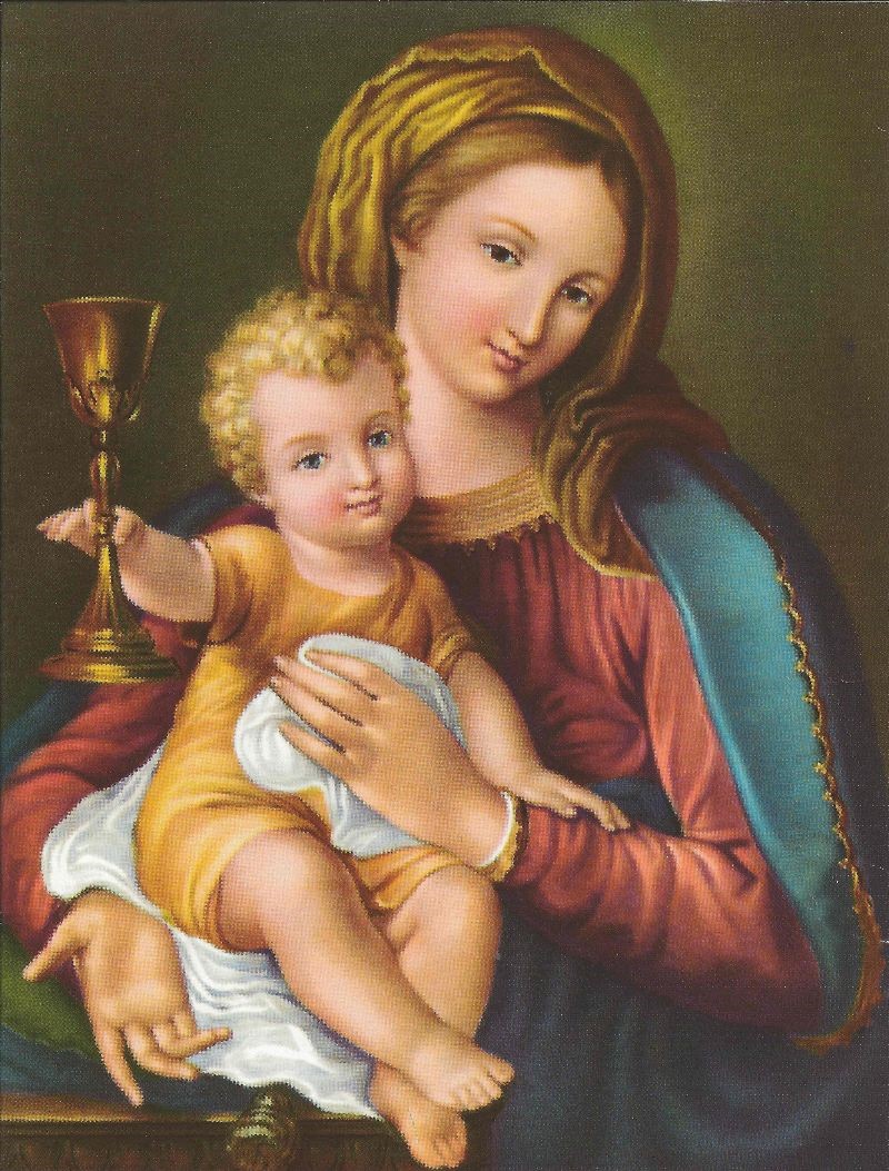 Mary Will Help Us to Heaven